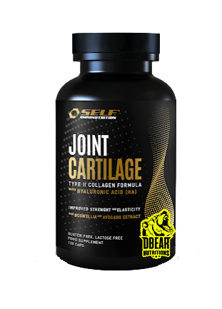 Joint Cartilage